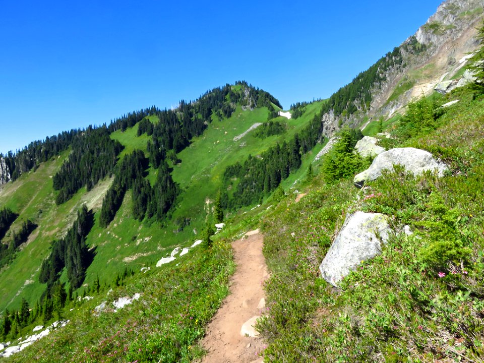 Hidden Lake Trail at North Cascades NP in WA