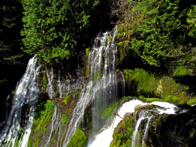 Panther Creek Falls Trail in WA