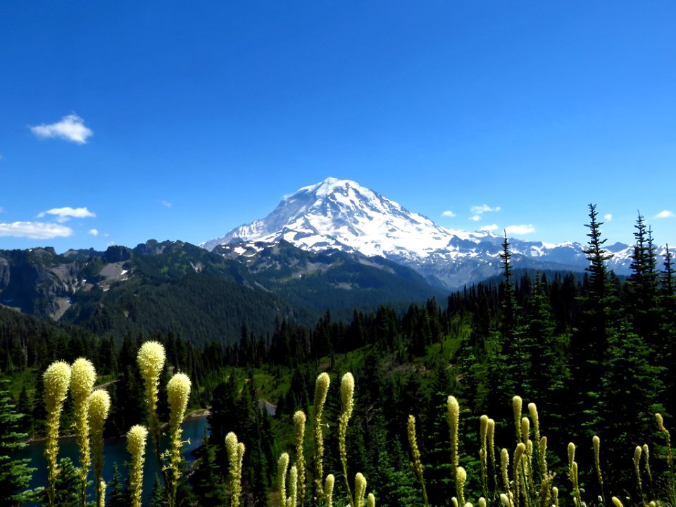 Tolmie Peak Trail at Mt. Rainier NP in WA