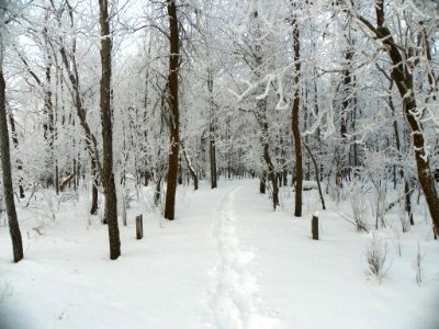 Winter Hiking Trail