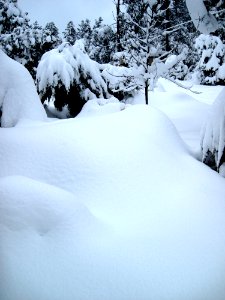 Dude, Where's my Yard?