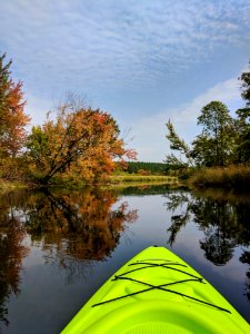 Early Fall Colors
