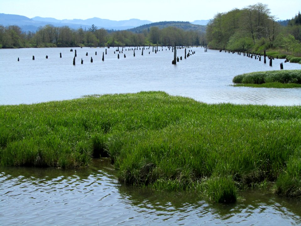 Fort Clatsop at Pacific Coast In OR
