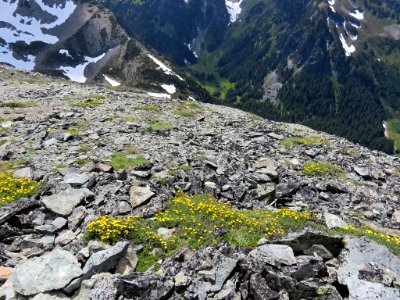Mt. Fremont Lookout at Mt. Rainier NP in Washington