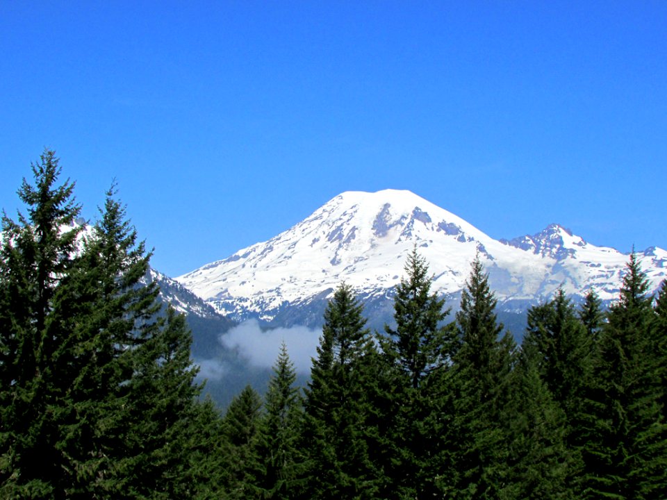 Mt. Rainier NP in WA