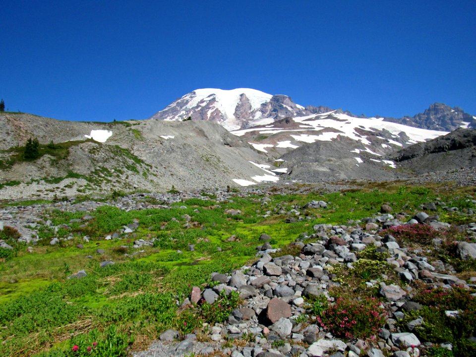 Paradise Skyline Trail at Mt. Rainier NP in WA