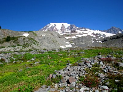 Paradise Skyline Trail at Mt. Rainier NP in WA photo