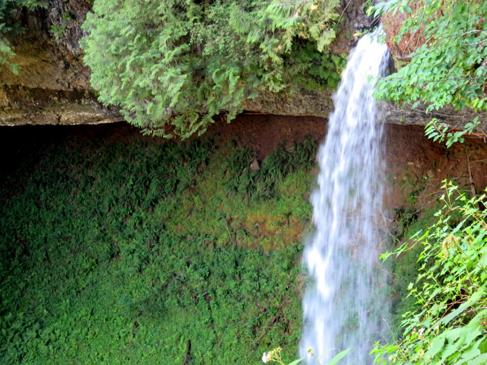 Silver Falls SP in OR
