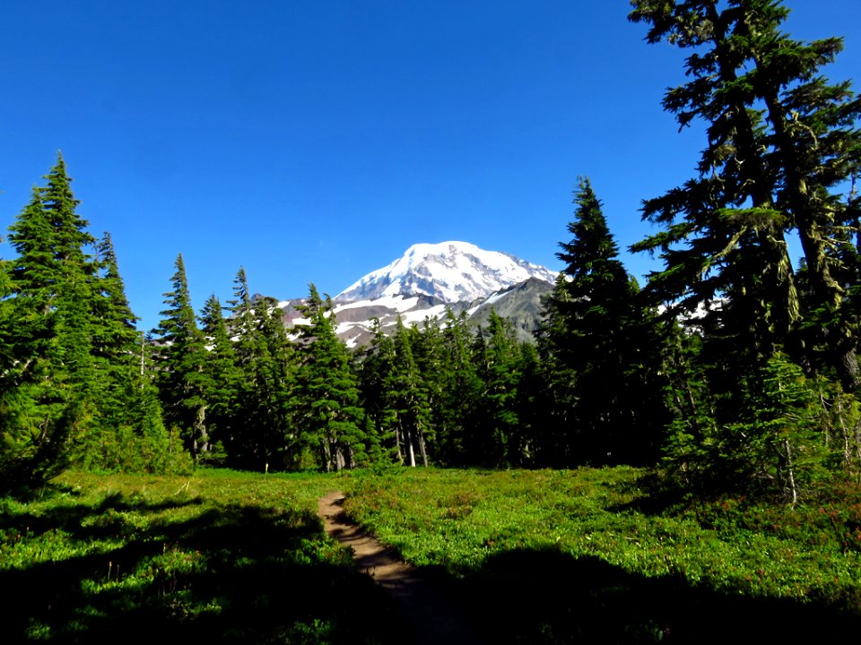 Spray Park Trail at Mt. Rainier NP in WA