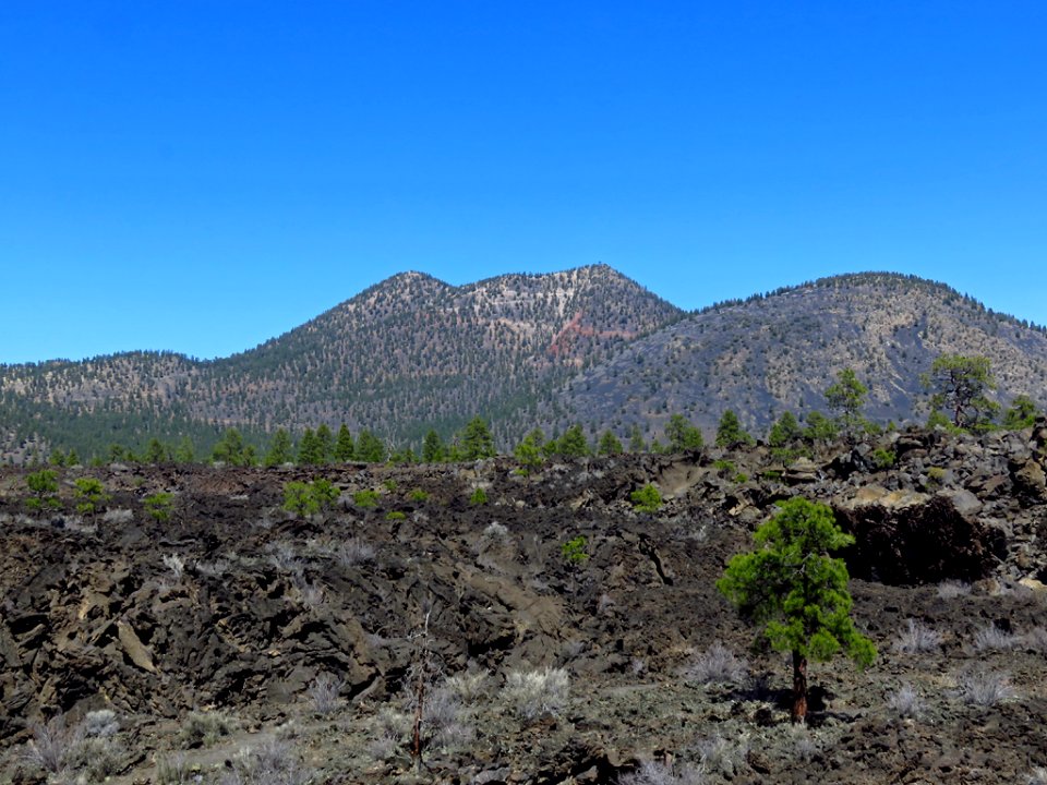 Sunset Crater Volcano NM in AZ