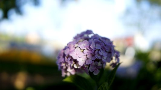  DSC4263