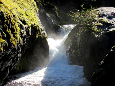 Lava Canyon Trail in Washington photo