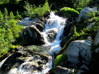 Paradise Skyline Trail at Mt. Rainier NP in WA photo