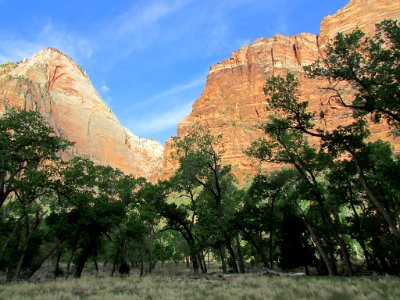 Zion NP in UT photo