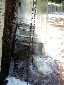 Portable Assessment Traps Fishing for Sea Lamprey