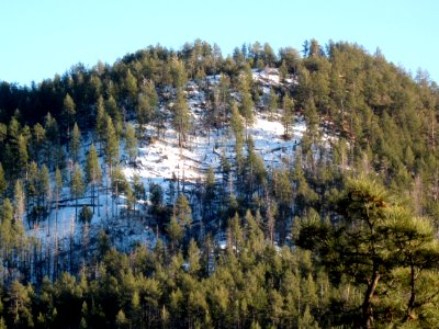 Strawberry Mountain