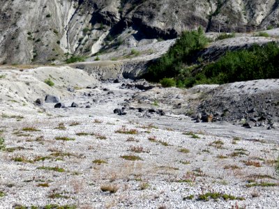 Truman / Loowit Trail at Mt. St. Helens NM in WA