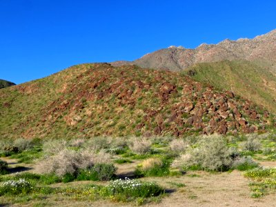 Anza-Borrego Desert SP in California