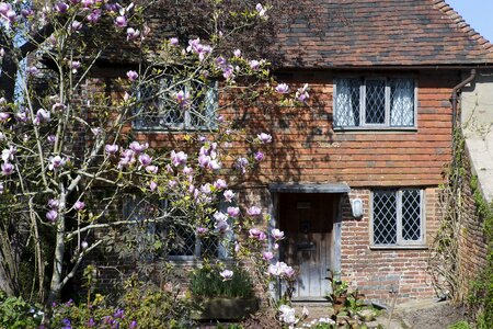 Oak door leaded-light windows magnolia tree