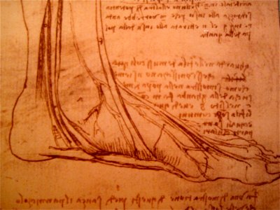 Das Foot