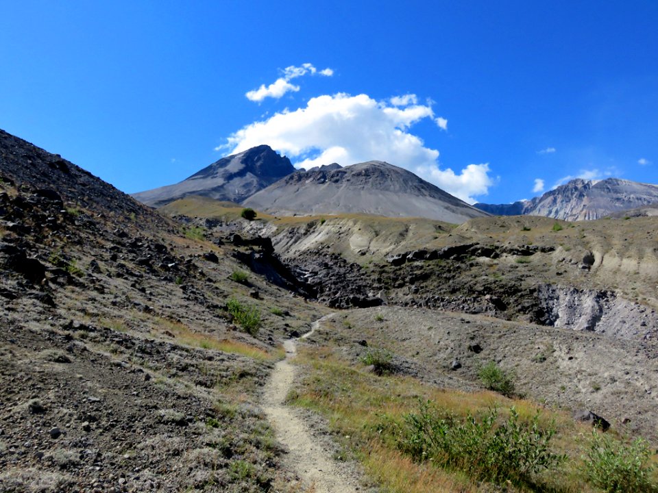 Truman / Loowit Trail at Mt. St. Helens NM in WA