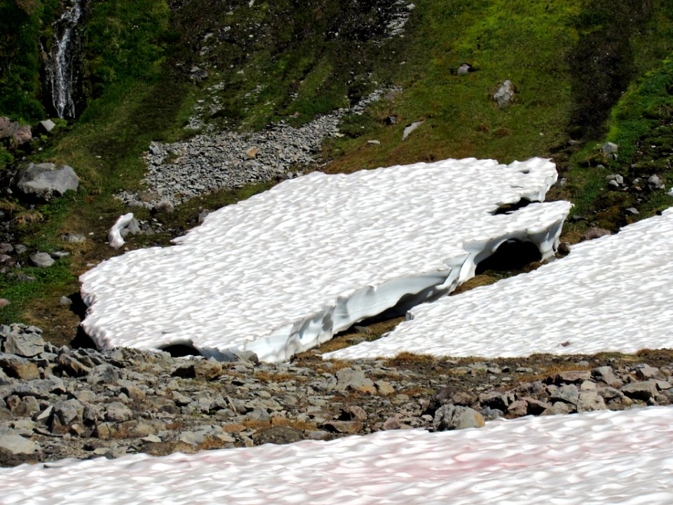 Paradise Skyline Trail at Mt. Rainier NP in WA