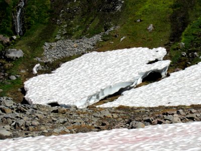 Paradise Skyline Trail at Mt. Rainier NP in WA photo