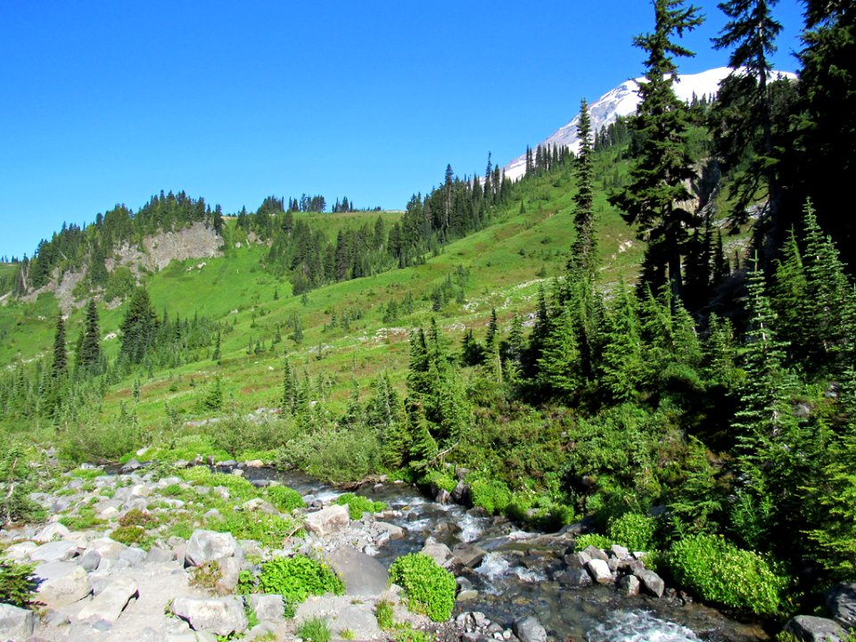 Paradise Skyline Trail at Mt. Rainier NP in WA