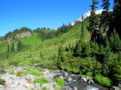 Paradise Skyline Trail at Mt. Rainier NP in WA