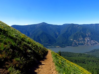 Dog Mountain Trail in Washington photo