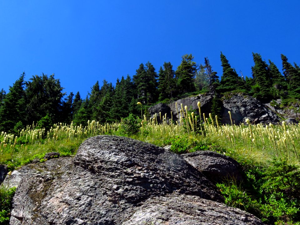 Tolmie Peak Trail at Mt. Rainier NP in WA