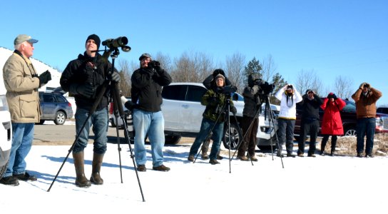 Birding along the Great Lakes