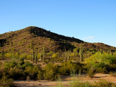 Sonoran Desert NM in AZ