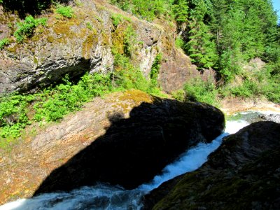 Lava Canyon Trail in Washington photo