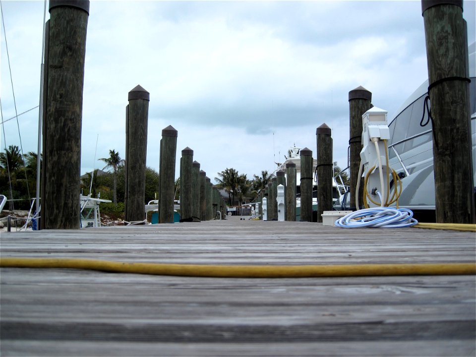 Ant's Eyed View of the Dock