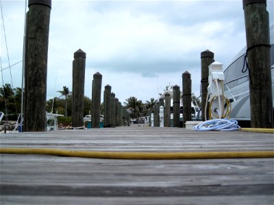 Ant's Eyed View of the Dock