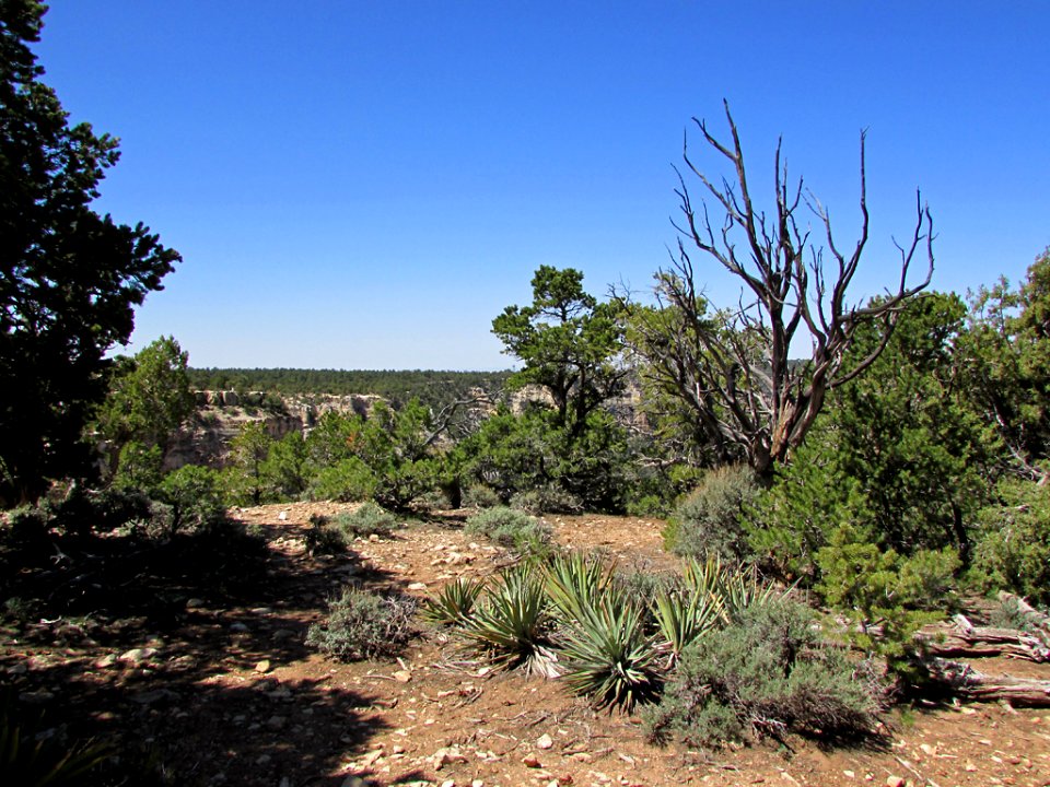 Grand Canyon NP in AZ