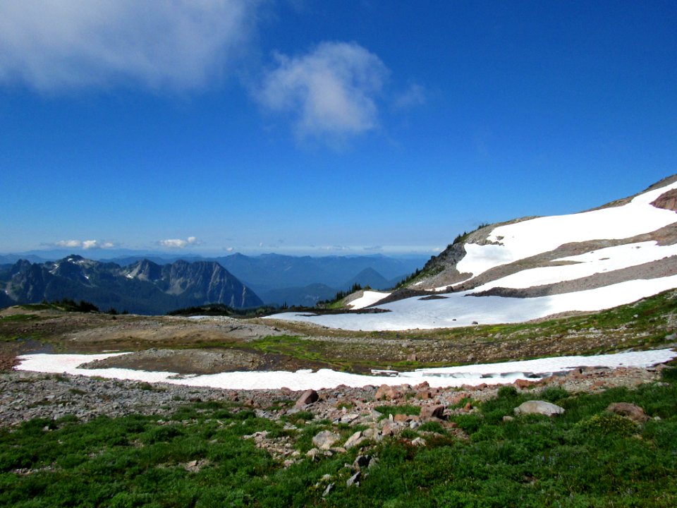 Paradise Skyline Trail at Mt. Rainier NP in WA