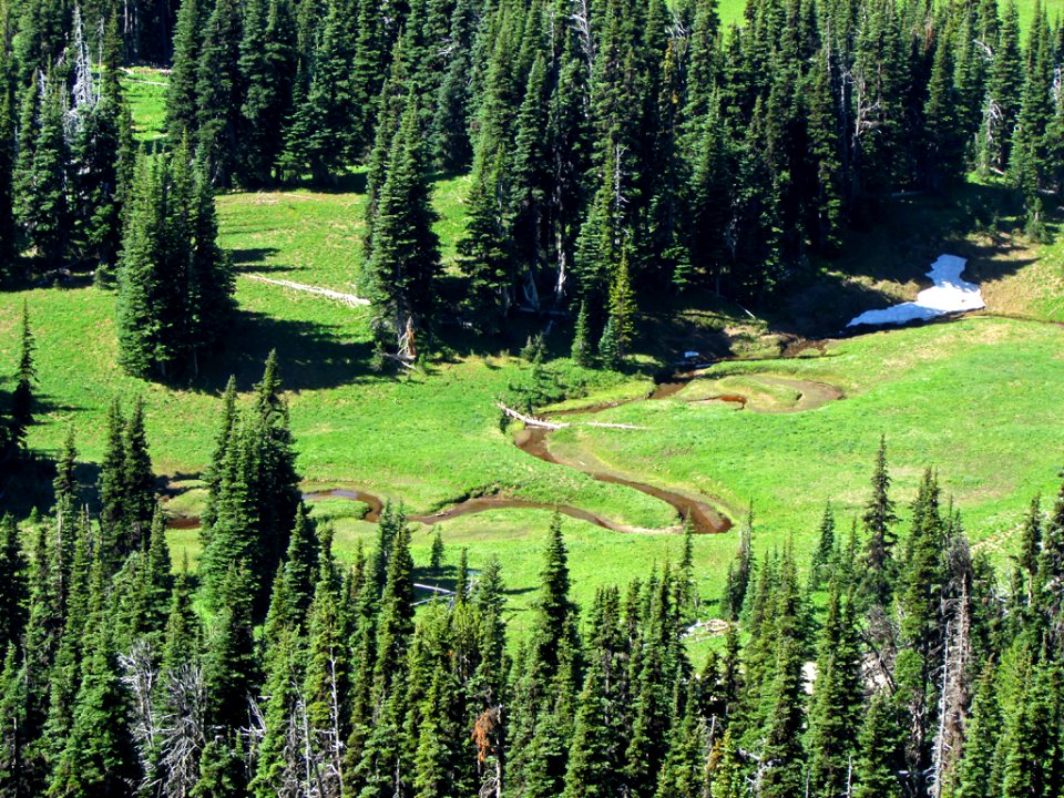 Mt. Rainier NP in WA