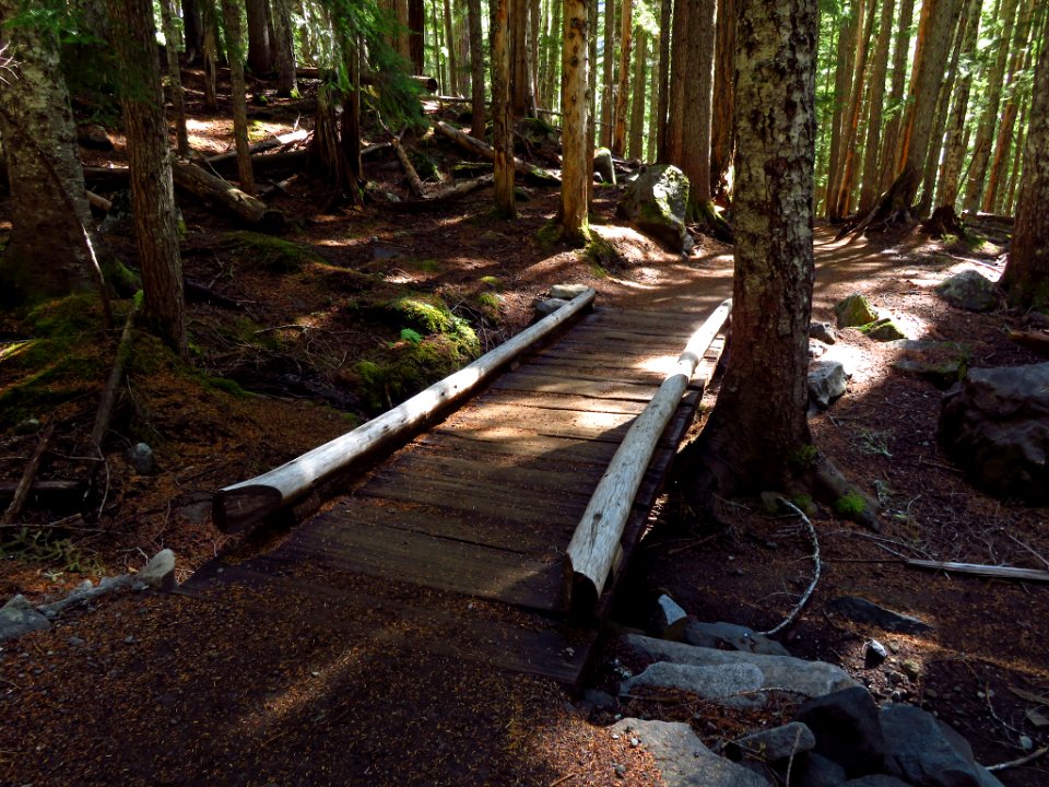 Glacier Basin Trail at Mt. Rainier NP in WA
