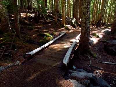 Glacier Basin Trail at Mt. Rainier NP in WA