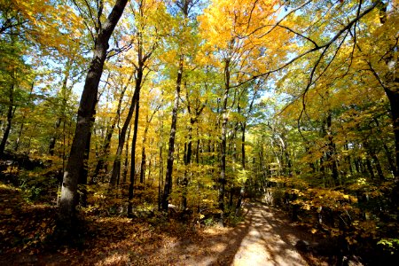 Fall Hiking