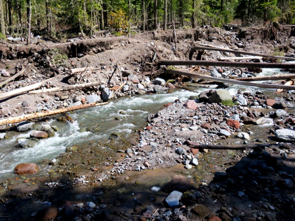 Ramona Falls Hike at Mt. Hood Wilderness in Oregon