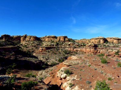 Needles District at Canyonlands NP in Utah photo