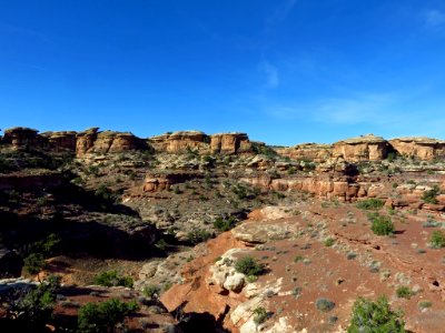 Needles District at Canyonlands NP in Utah