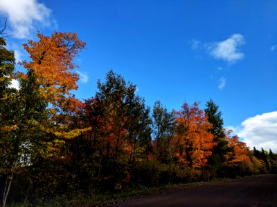 Fall colors in Finland, Minnesota