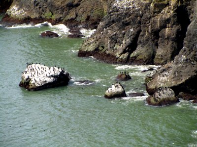 Cape Disappointment at Pacific Coast In OR photo