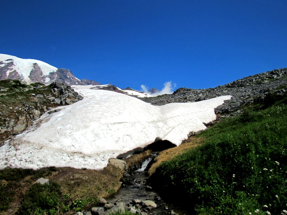 Paradise Skyline Trail at Mt. Rainier NP in WA