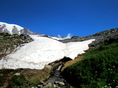 Paradise Skyline Trail at Mt. Rainier NP in WA photo