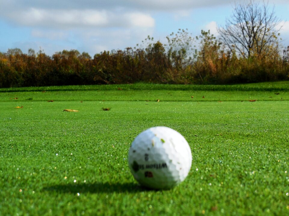 Golf turf golf field grass